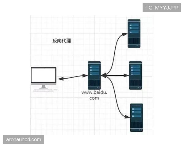 新手教学：带你快速搞懂什么是八秒违例及正确应对方法
